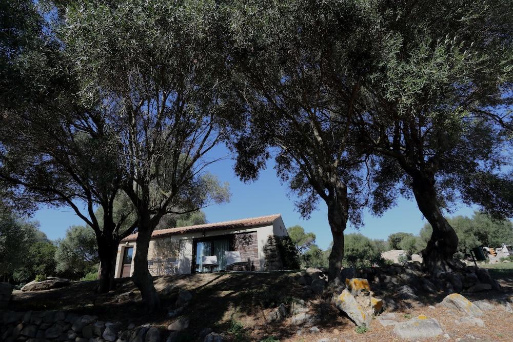 Liscia Country Relais Pensionat Sant'Antonio di Gallura Eksteriør billede