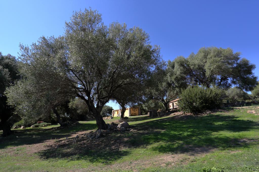 Liscia Country Relais Pensionat Sant'Antonio di Gallura Eksteriør billede