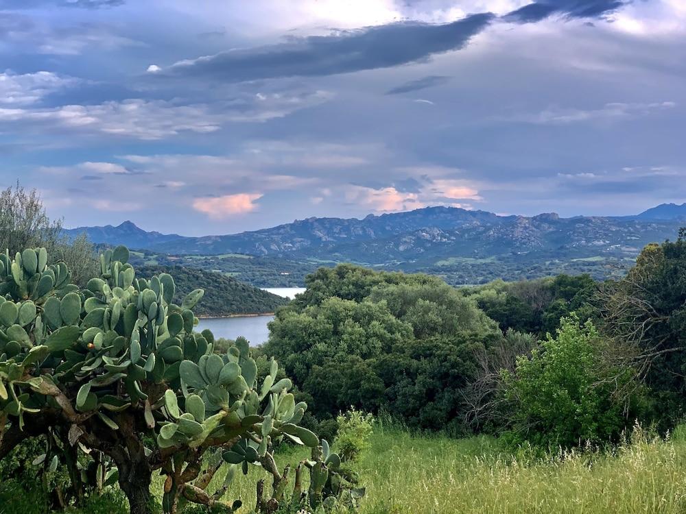 Liscia Country Relais Pensionat Sant'Antonio di Gallura Eksteriør billede