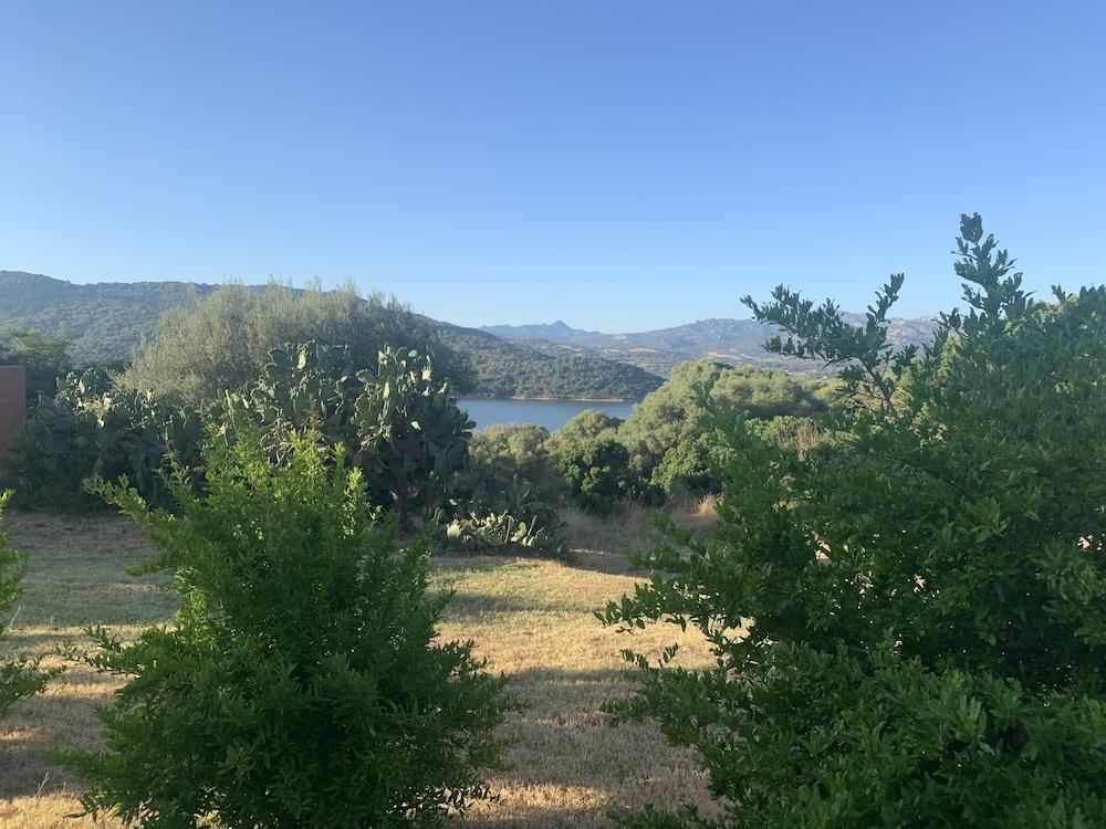 Liscia Country Relais Pensionat Sant'Antonio di Gallura Eksteriør billede