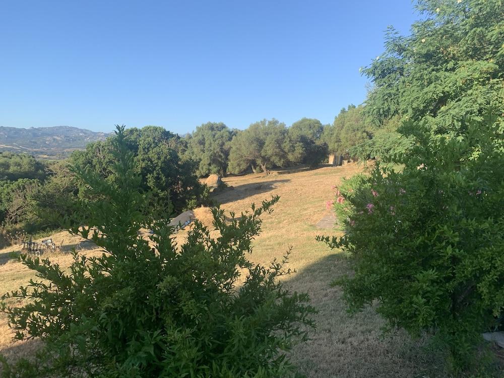 Liscia Country Relais Pensionat Sant'Antonio di Gallura Eksteriør billede