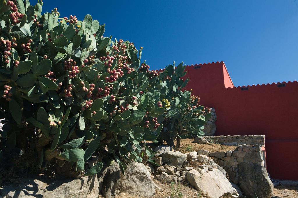 Liscia Country Relais Pensionat Sant'Antonio di Gallura Eksteriør billede