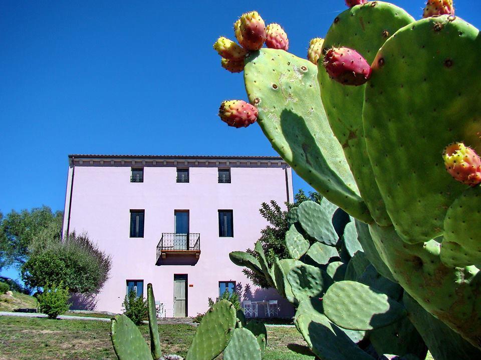 Liscia Country Relais Pensionat Sant'Antonio di Gallura Eksteriør billede