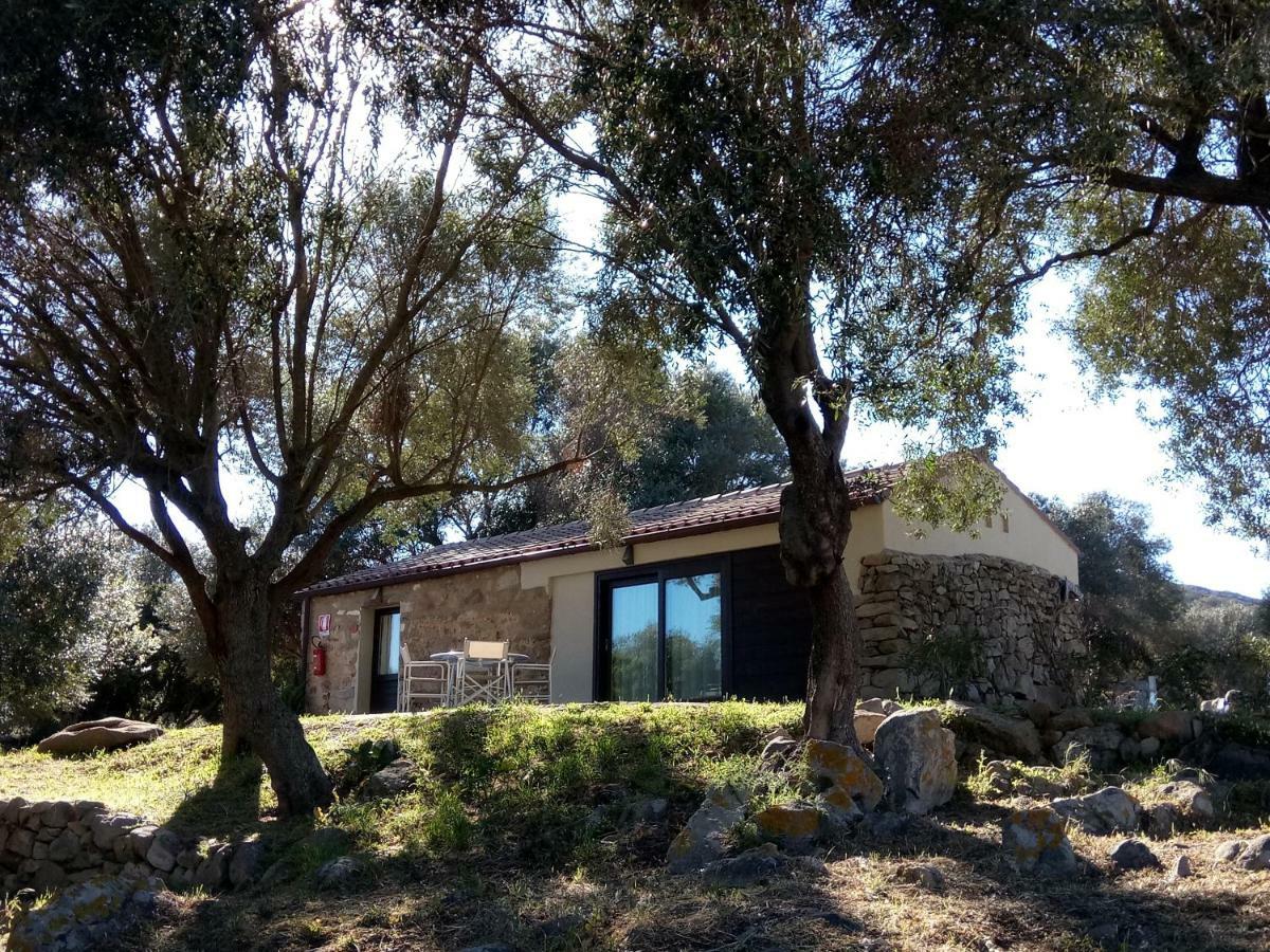 Liscia Country Relais Pensionat Sant'Antonio di Gallura Eksteriør billede